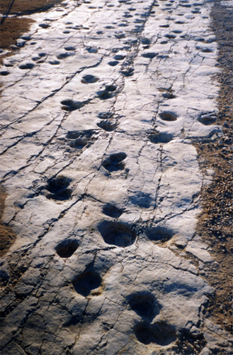 pouilles, altamura, site archéologique